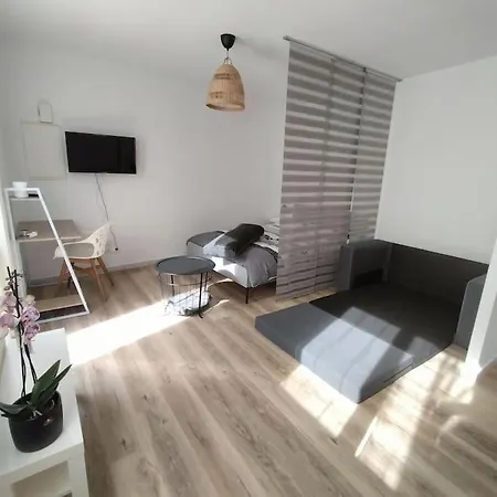 Spacieux Dans Avec Parking Prive Apartment Clermont-Ferrand